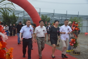 訪企拓崗在行動 隋江華院長出席藍石海洋工程新工廠奠基儀式，共促海洋智能裝備研發(fā)合作